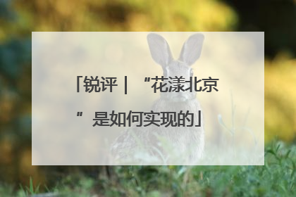 锐评｜“花漾北京”是如何实现的
