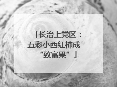 长治上党区：五彩小西红柿成“致富果”