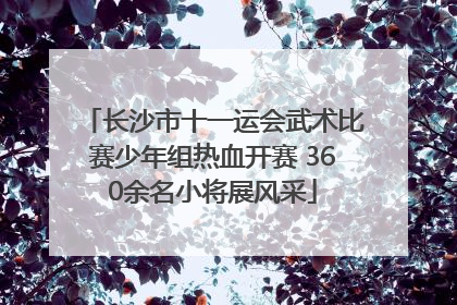 长沙市十一运会武术比赛少年组热血开赛 360余名小将展风采