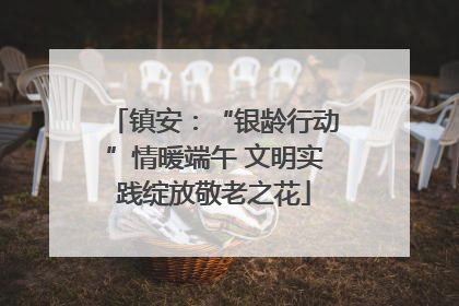 镇安：“银龄行动”情暖端午 文明实践绽放敬老之花