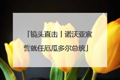 镜头直击丨诺沃亚宣誓就任厄瓜多尔总统