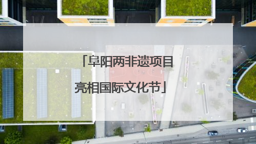 阜阳两非遗项目亮相国际文化节