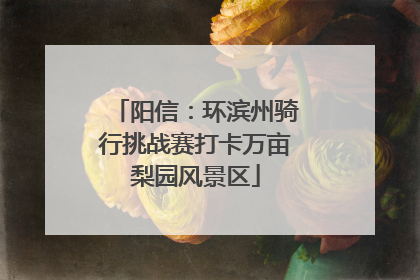 阳信：环滨州骑行挑战赛打卡万亩梨园风景区