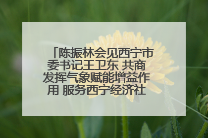 陈振林会见西宁市委书记王卫东 共商发挥气象赋能增益作用 服务西宁经济社会高质量发展