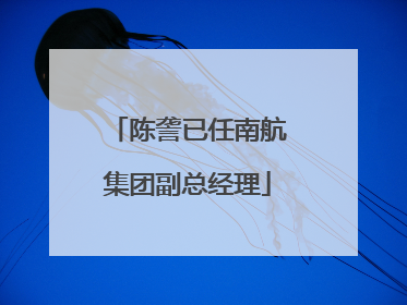 陈詟已任南航集团副总经理