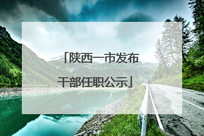 陕西一市发布干部任职公示