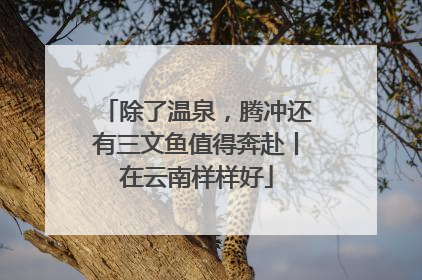 除了温泉，腾冲还有三文鱼值得奔赴丨在云南样样好