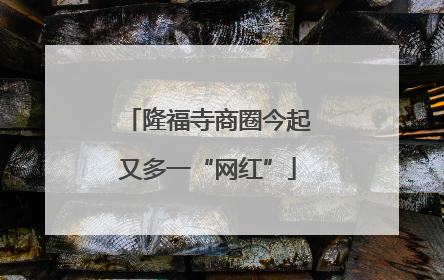 隆福寺商圈今起又多一“网红”