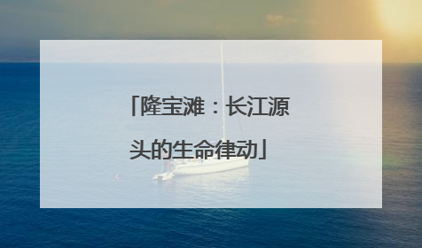 隆宝滩：长江源头的生命律动