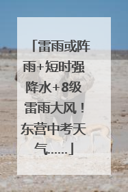 雷雨或阵雨+短时强降水+8级雷雨大风！东营中考天气……