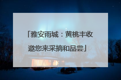 雅安雨城：黄桃丰收 邀您来采摘和品尝