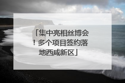 集中亮相丝博会！多个项目签约落地西咸新区