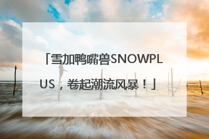 雪加鸭嘴兽SNOWPLUS，卷起潮流风暴！
