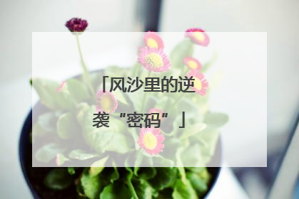 风沙里的逆袭“密码”