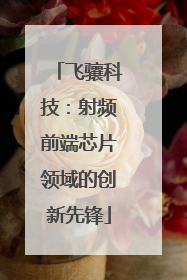 飞骧科技：射频前端芯片领域的创新先锋