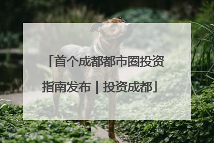 首个成都都市圈投资指南发布｜投资成都