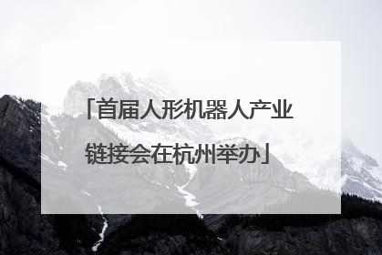 首届人形机器人产业链接会在杭州举办