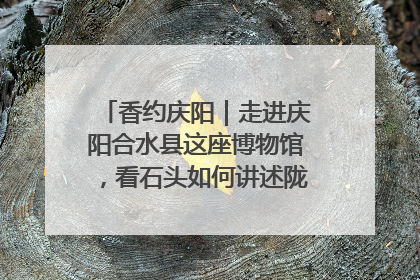 香约庆阳｜走进庆阳合水县这座博物馆，看石头如何讲述陇东千年历史