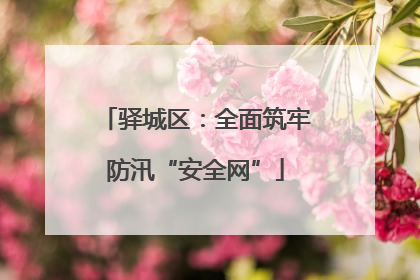 驿城区：全面筑牢防汛“安全网”