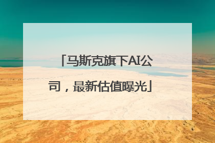 马斯克旗下AI公司，最新估值曝光