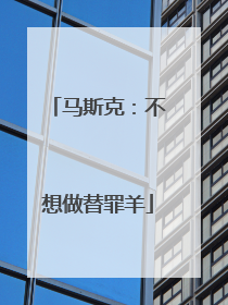 马斯克：不想做替罪羊