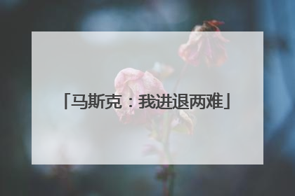马斯克：我进退两难