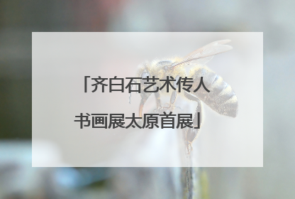 齐白石艺术传人书画展太原首展