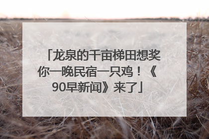 龙泉的千亩梯田想奖你一晚民宿一只鸡！《90早新闻》来了