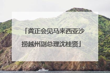 龚正会见马来西亚沙捞越州副总理沈桂贤