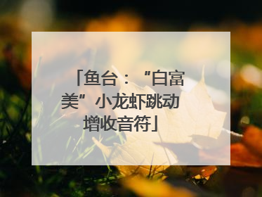 鱼台：“白富美”小龙虾跳动增收音符