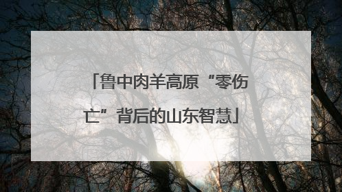 鲁中肉羊高原“零伤亡”背后的山东智慧
