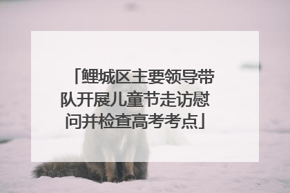 鲤城区主要领导带队开展儿童节走访慰问并检查高考考点