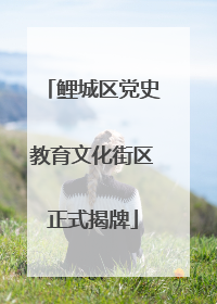 鲤城区党史教育文化街区正式揭牌