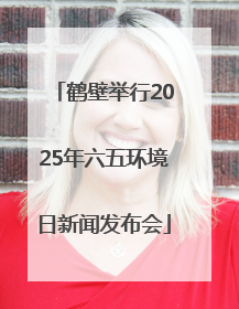 鹤壁举行2025年六五环境日新闻发布会