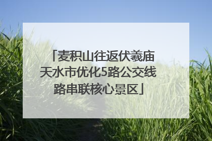 麦积山往返伏羲庙 天水市优化5路公交线路串联核心景区