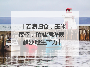 麦浪归仓，玉米接棒，精准滴灌唤醒沙地生产力