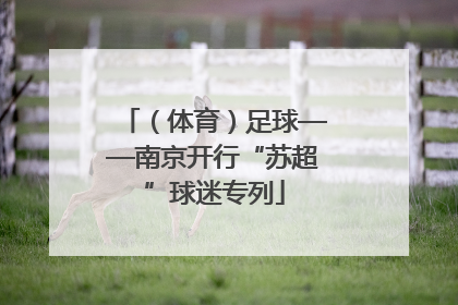 （体育）足球——南京开行“苏超”球迷专列