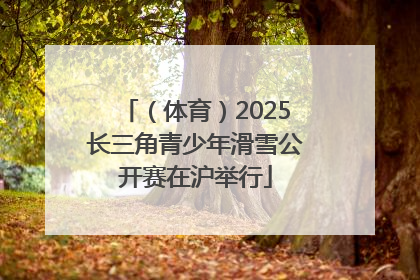 （体育）2025长三角青少年滑雪公开赛在沪举行