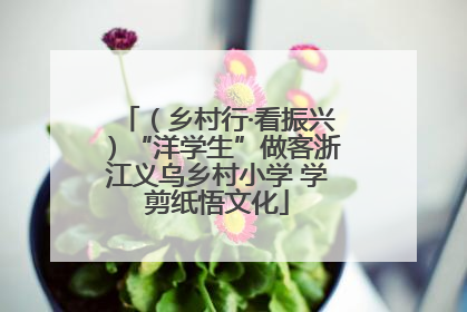（乡村行·看振兴）“洋学生”做客浙江义乌乡村小学 学剪纸悟文化