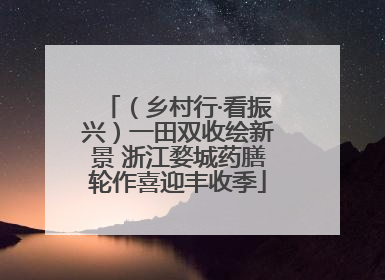 （乡村行·看振兴）一田双收绘新景 浙江婺城药膳轮作喜迎丰收季