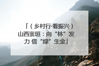 （乡村行·看振兴）山西襄垣：向“林”发力 借“绿”生金