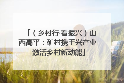 （乡村行·看振兴）山西高平：矿村携手兴产业 激活乡村新动能