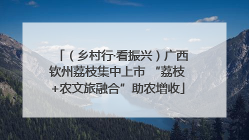 （乡村行·看振兴）广西钦州荔枝集中上市 “荔枝+农文旅融合”助农增收