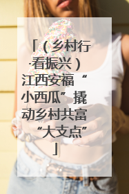 （乡村行·看振兴）江西安福“小西瓜”撬动乡村共富“大支点”