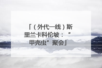 （外代一线）斯里兰卡科伦坡：“甲壳虫”聚会