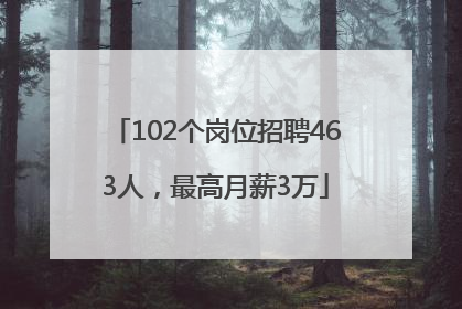 102个岗位招聘463人，最高月薪3万