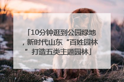 10分钟逛到公园绿地，新时代山东“百姓园林”打造五类主题园林