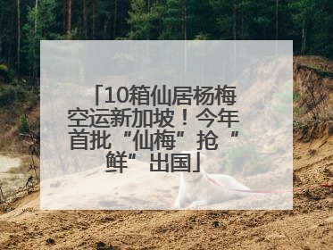 10箱仙居杨梅空运新加坡！今年首批“仙梅”抢“鲜”出国