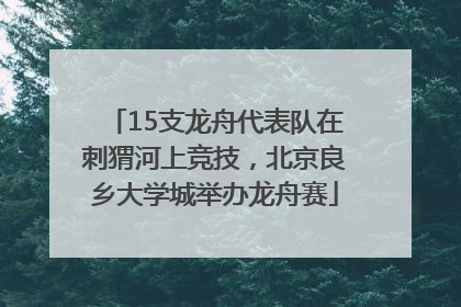 15支龙舟代表队在刺猬河上竞技，北京良乡大学城举办龙舟赛