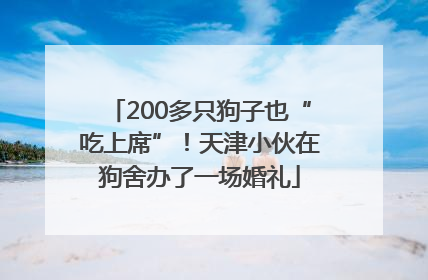 200多只狗子也“吃上席”！天津小伙在狗舍办了一场婚礼